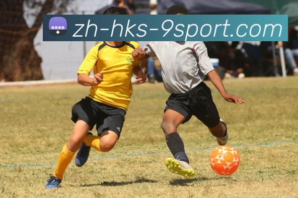 多媒体互动体验